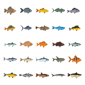 Fish icons set. Flat collection of fish vector icons for web isolated on white background