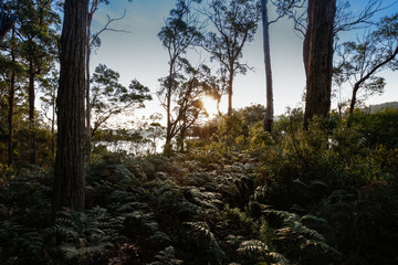 National Park in Victoria 