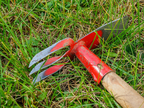 Hoe lies on the green lawn. Tools for garden work.