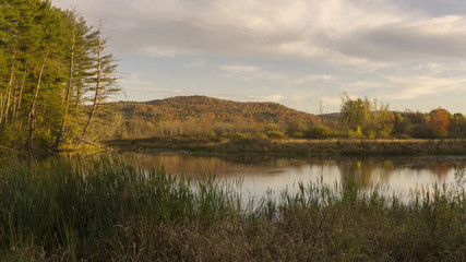 A scenic autumn view of a swamp in the Berkshire Mountains of Western Massachusetts.