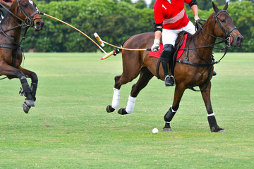 Obraz premium Player protect a polo ball.