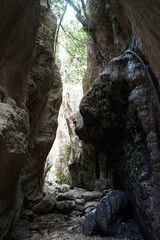 Trail in Avakas gorge