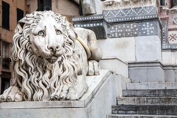 Lion Statue, Cathedral, Genoa