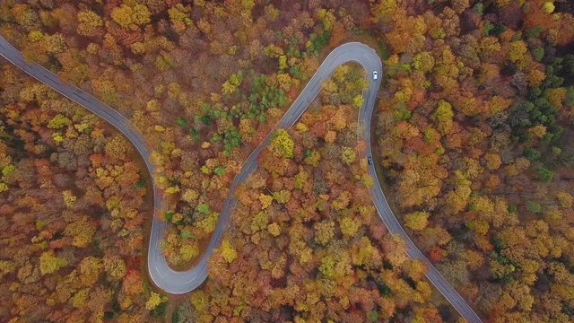 aerial view in 4K a few cars driving up curvy country road through colorful autumn forest 
