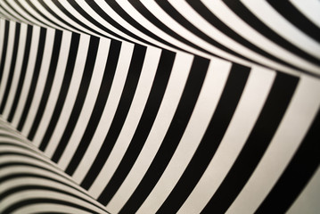 zebra art pattern