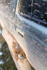 dirt on the cars SUV