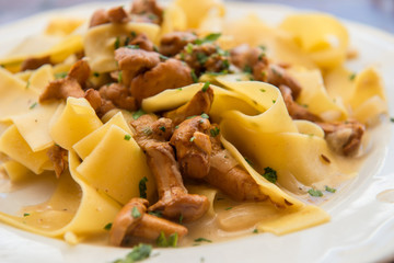 Tagliatelle mushroom