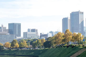 Obraz premium Tokyo central city in autumn / Fall scenery around the Imperial Palace in the central of Tokyo,Japan