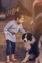 little girl wearing denim outfits touching black and white dog in a farm, filtered tones
