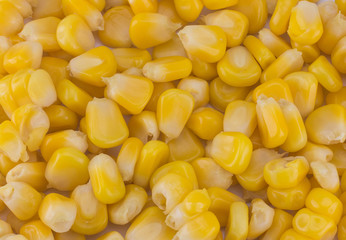 Corn