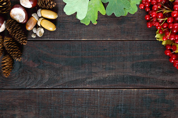 Autumn background. Juicy red berries of a viburnum, dry leaves, acorns, cones, chestnuts, on a dark wooden background. Space for inscriptions.