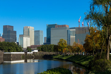 Tokyo central city in autumn / Fall scenery around the Imperial Palace in the central of Tokyo,Japan
