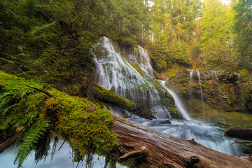 Log Jam by Panther Creek Falls in WA state USA