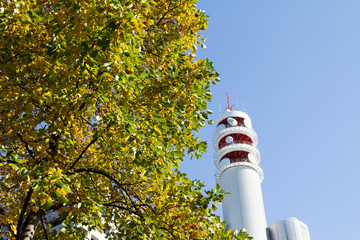 Tokyo central city in autumn / Fall scenery around the Imperial Palace in the central of Tokyo,Japan