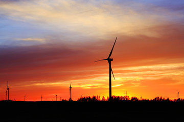 Obraz premium Wind turbines in the evening