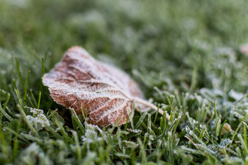 First sign of winter