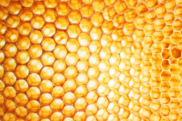 beeswax background