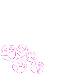 the simple frame of pink roses on a white background. For decorating greeting, invitations, posters, postcards. On Valentine's day, holiday, celebration, wedding, birthday, party.