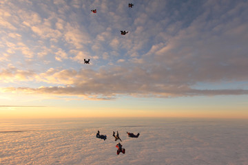 Pink clouds and skydivers in the sunset sky.