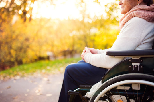 An elderly woman in wheelchair in autumn nature.