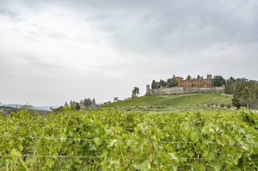 Fototapeta na wymiar Hills with vineyards and castle Brolio on a rainy day in autumn in Tuscany