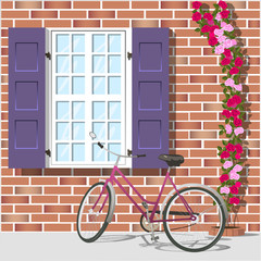 window and bike 1