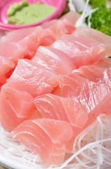 Delicious Japanese fresh raw seafoods-Sashimi  
