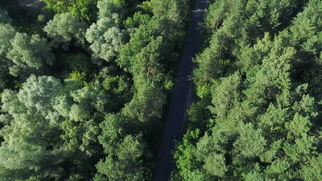 aerial view of sport car driving in forest