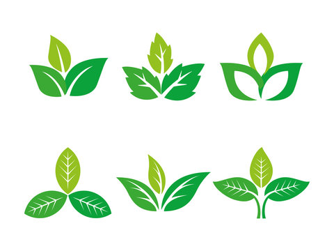 three leafs logo set