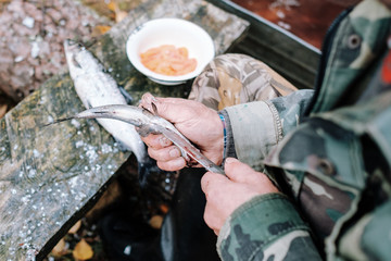 Fisherman cleaning fish on wooden board outdoors