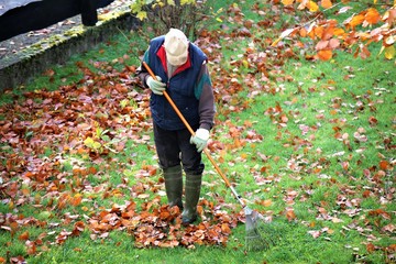 An Image of a old man doing gardening