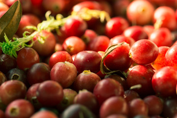 Fresh cranberry, close view