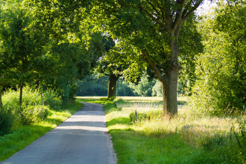 Fototapeta na wymiar Asphaltierter Weg in Landschaft