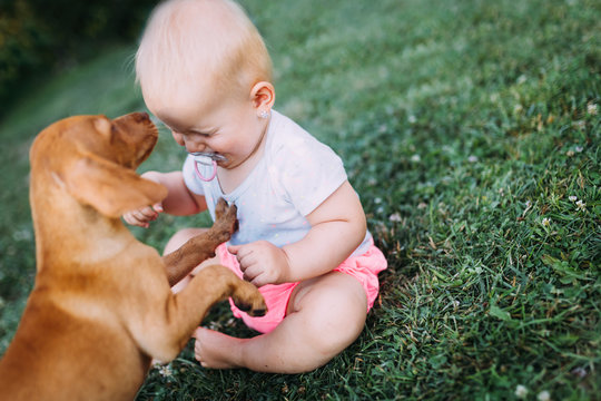 Portrait Of Cute Baby Playing With Dog