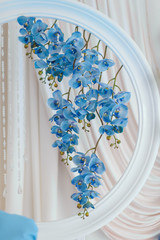 Оформление помещения синими и белыми цветами, и синей легкой тканью