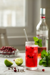 Cold cranberry and vodka coctail