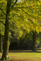 Herbst im Schloßpark Ahaus