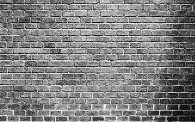 Fototapeta na wymiar old brick wall in black and white tone