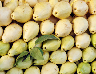 Yellow Guava. Harvest guava. Guava from the supermarket. Market stall guava. (selective focus)