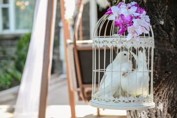 Wedding decoration with a cage inside pigeons