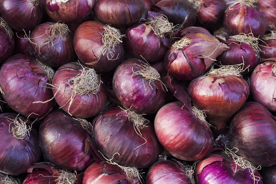 Onion harvest. Fresh red onions. Onions background. Ripe onions. Onions in market. (selective focus)