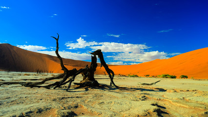 Deadvlei in Namib-Naukluft national park, Sossusvlei Namibia