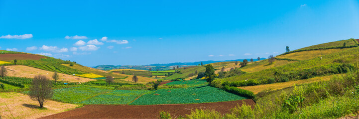 The panoramic landscape scenery of the hilly agriculture crop field around countryside area of Pindaya, Shan state, Myanmar