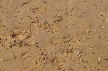 brown sand surface background