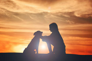 Silhouette cute girl and dog playing at sky sunset in holiday