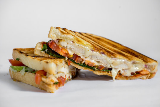 Grilled Chicken Panini With Tomato Isolated On White