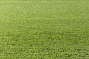 Football pitch showing just grass / lawn / field