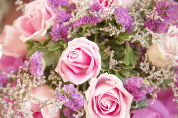 Many roses are arranged in rows.