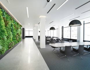Vertical green wall in modern office building