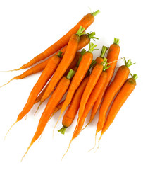 fresh carrots on white background